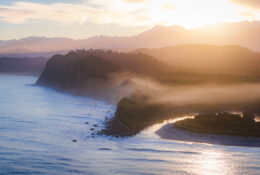 New Zealand 2025 (2 group) (11/84)